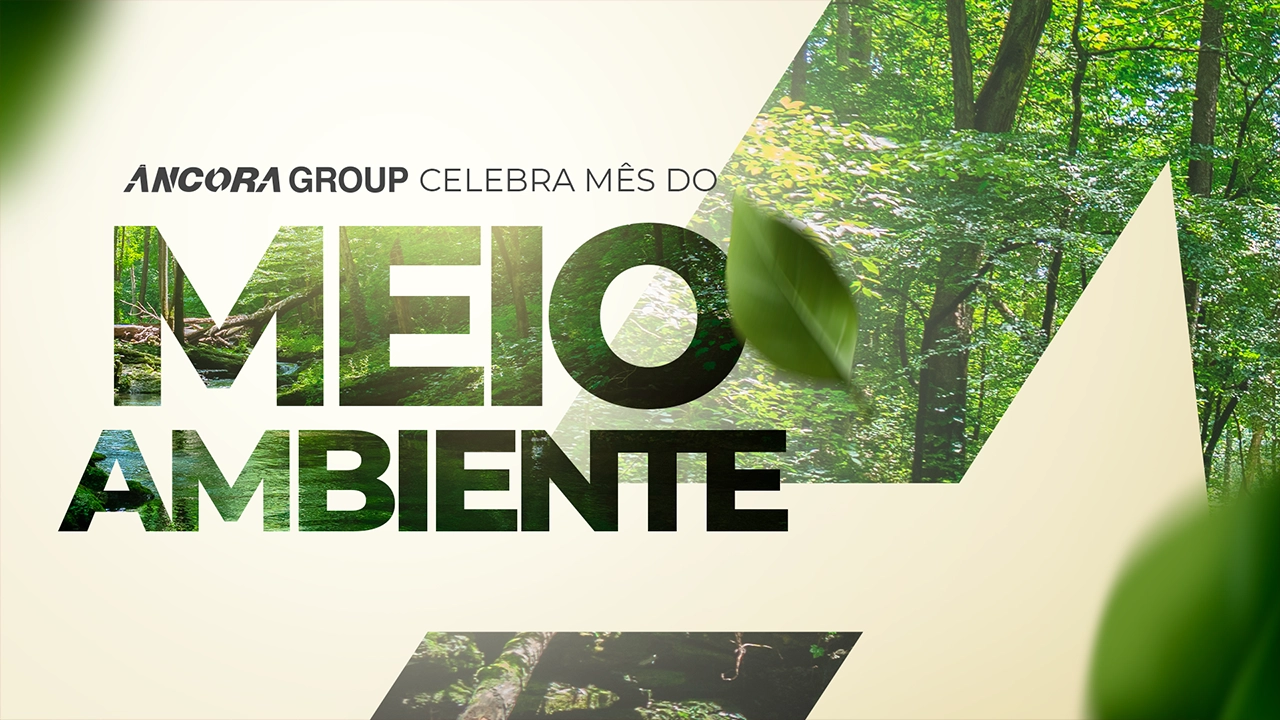 Blog-meio-ambiente.webp
